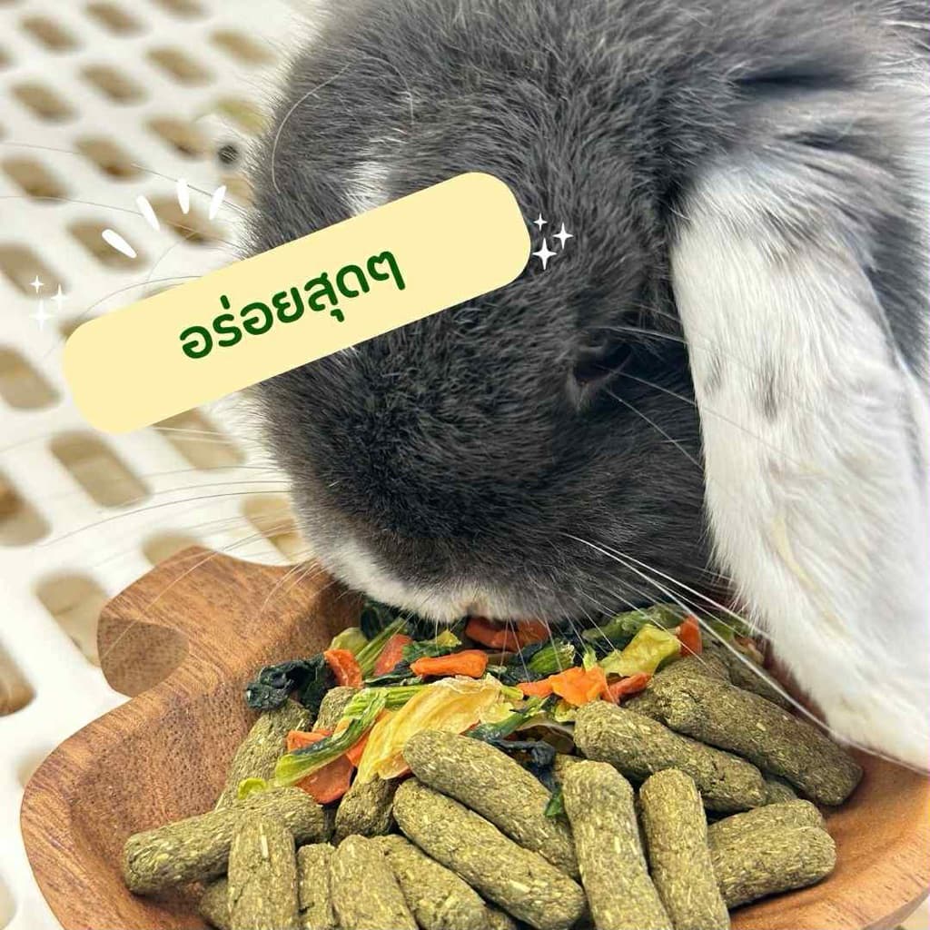 veggie party ผักรวมอบกรอบ รูปที่ 4