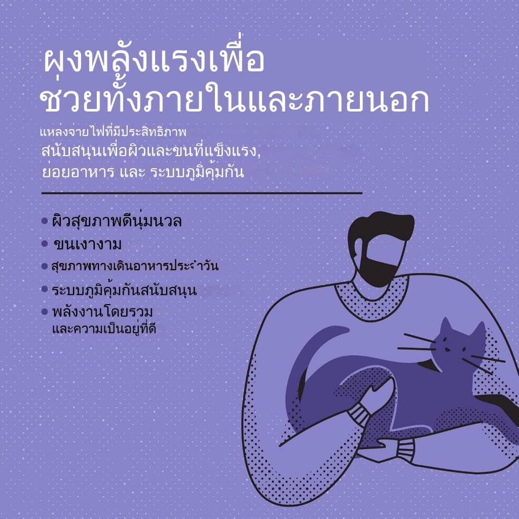 KetzuzuPet อาหารเสริมสำ วิตามิน 14g รูปที่ 8
