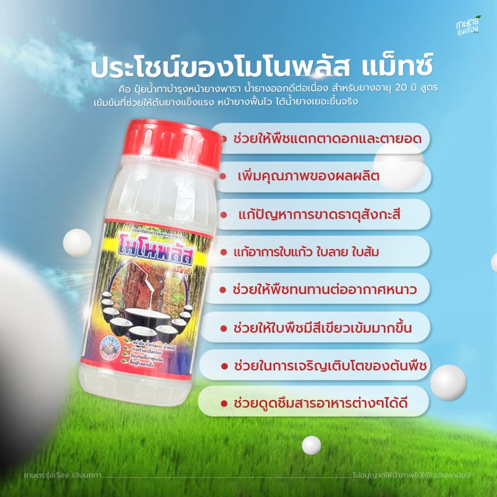 โมโนพลัส แม็ทซ์ น้ำยางออกดีต่อเนื่อง สำหรับยางอายุ 20 ปี (มีให้เลือก 2 ขนาดปริมาณ 500cc. / 1000 cc.) รูปที่ 3