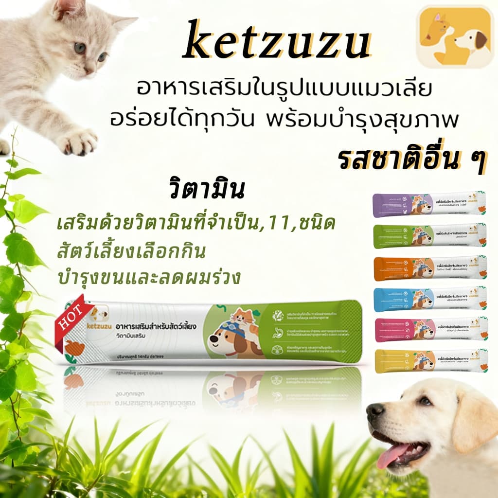 KetzuzuPet อาหารเสริมสำ วิตามิน 14g รูปที่ 1