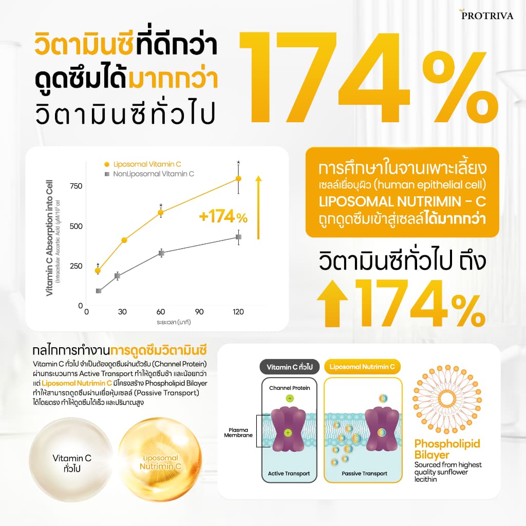 Protriva Liposomal Bio-Vit C 1000 โปรทริว่า ไลโปโซมอล ไบโอ-วิตซี รูปที่ 3