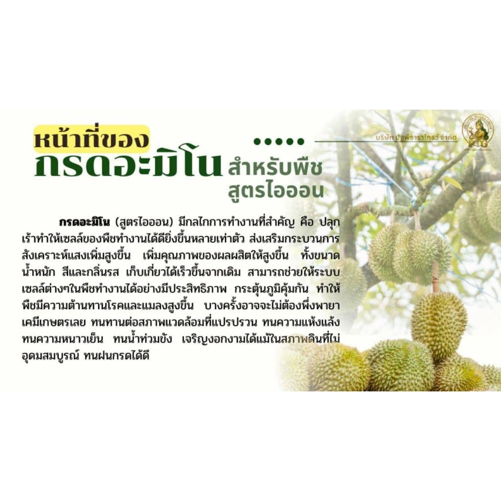 ชุดคู่หูมหัศจรรย์ปฐพีธารา สูตรดั้งเดิม รูปที่ 6