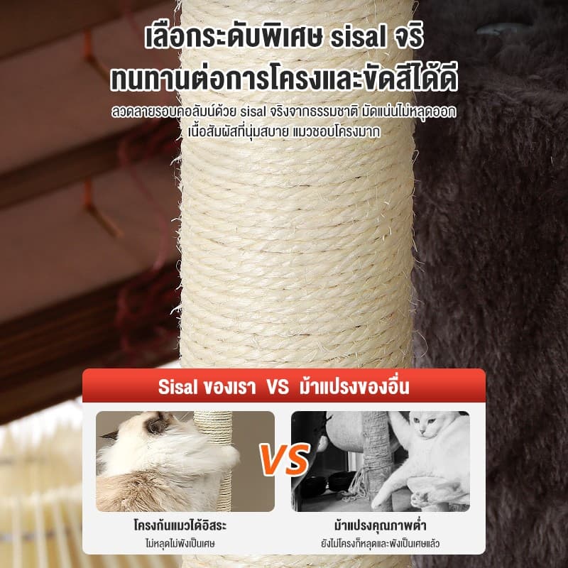 คอนโดแมว คอนโดแมวไม้ เสาลับเล็บแมวได้ คอนโดกำมะหยี่และคอนโดไม้ แน่นไม่สั่น เหมาะสำหรับแมว 3-6 ตัว รูปที่ 3