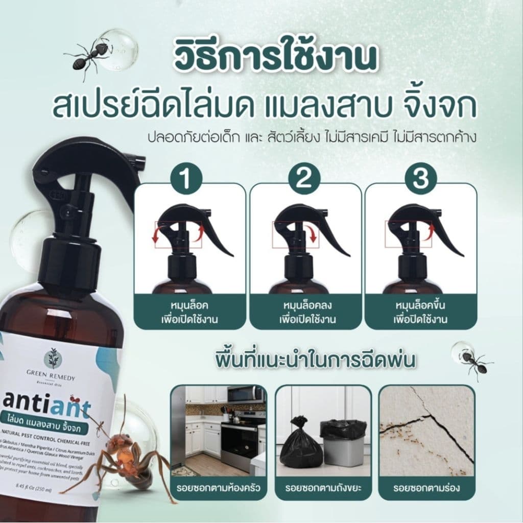 Anti-ANT สเปรย์ไล่มด ไล่แมลงสาบ ไล่จิ้งจก กำจัดปลวก มด จิ้งจก แมลง สูตรออร์แกนิค 100% 250 ml รูปที่ 5