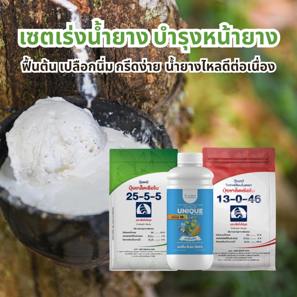 เซตเร่งน้ำยาง ปุ๋ยเกล็ดเรือใบ 25-5-5 1 กก. อะมิโนพืชคีเลต 1 ลิตร ปุ๋ยเกล็ดเรือใบ 13-0-46 1 กก. บำรุงหน้ายาง ฟื้นต้น รูปที่ 1