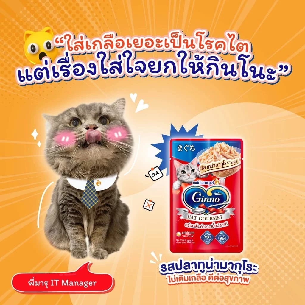 Ginno อาหารเปียกแมวกินโนะ เกรดพรีเมี่ยม ขนาด 60กรัม ส่งเร็ว รูปที่ 2