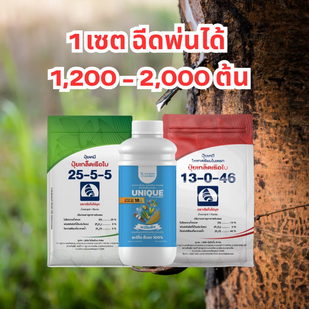 เซตเร่งน้ำยาง ปุ๋ยเกล็ดเรือใบ 25-5-5 1 กก. อะมิโนพืชคีเลต 1 ลิตร ปุ๋ยเกล็ดเรือใบ 13-0-46 1 กก. บำรุงหน้ายาง ฟื้นต้น รูปที่ 4