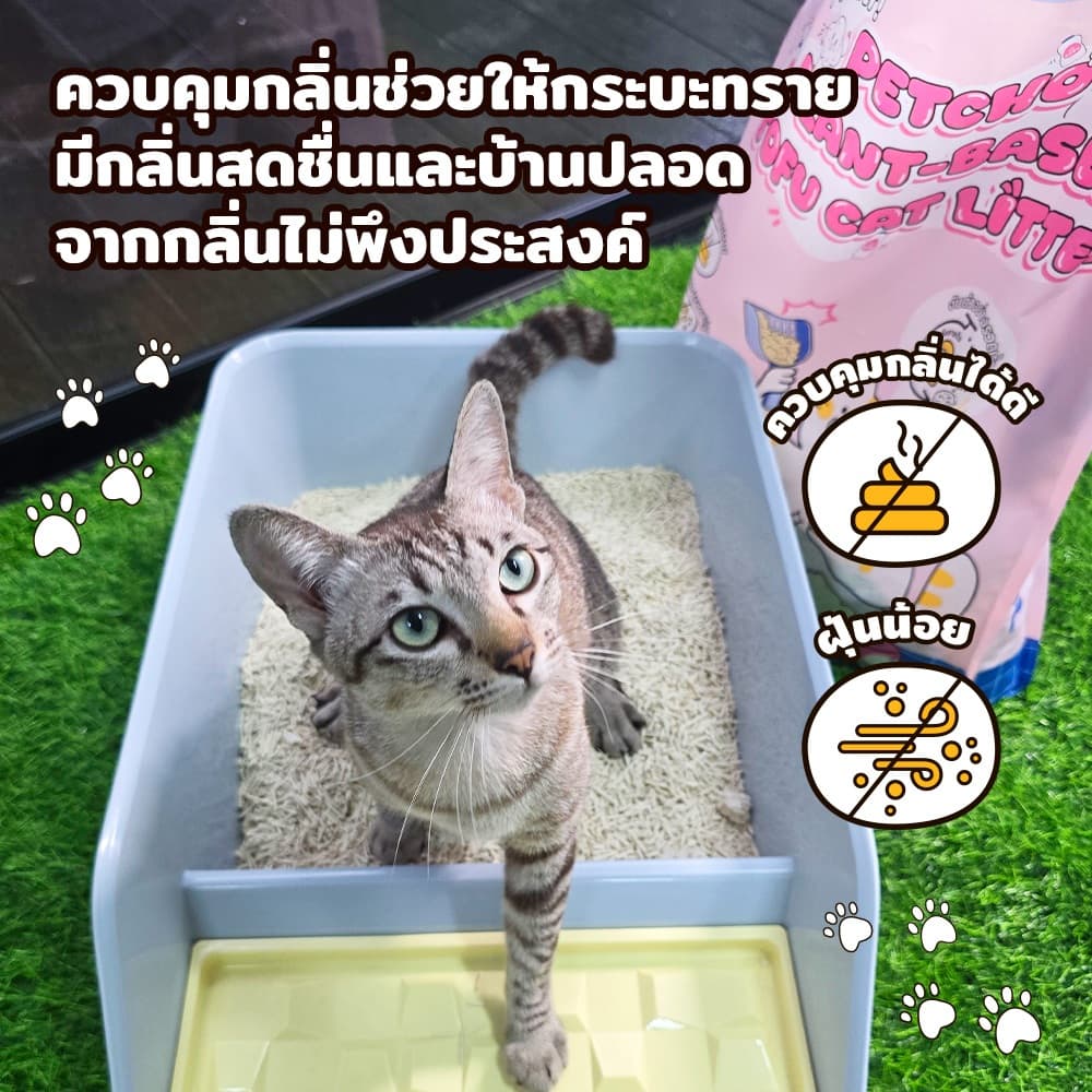 PetStern x Petcho ทรายแมวเต้าหู้ ทิ้งชักโครกได้ จักตัวเร็ว ฝุ่นน้อย ดับกลิ่น ขนาด 20L,Plant-based ทรายแมวเต้าหู้ รูปที่ 7