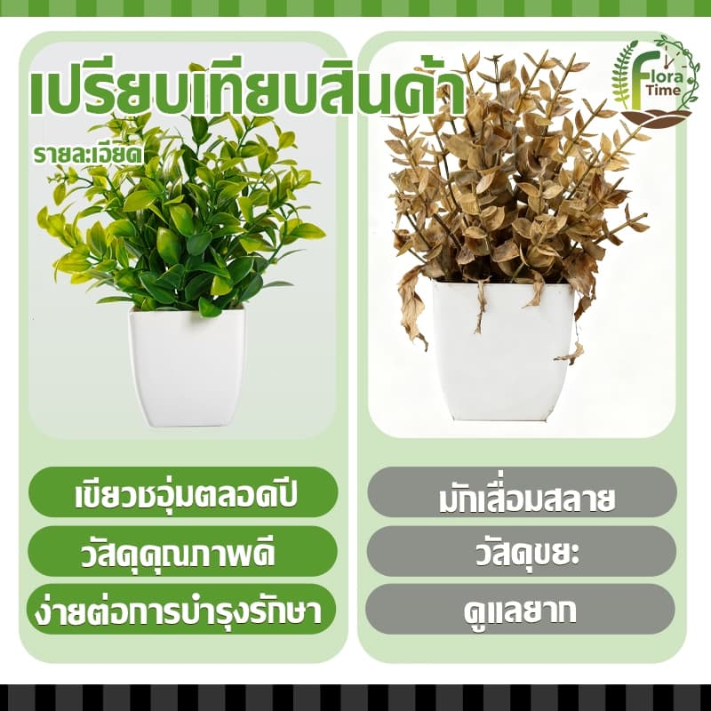 บอนไซเทียม ไม้ประดับ ดีไซน์โมเดิร์น ขนาดเล็ก สําหรับตกแต่งบ้าน สวน โต๊ะรับประทานอาหาร ห้องนอน รูปที่ 5