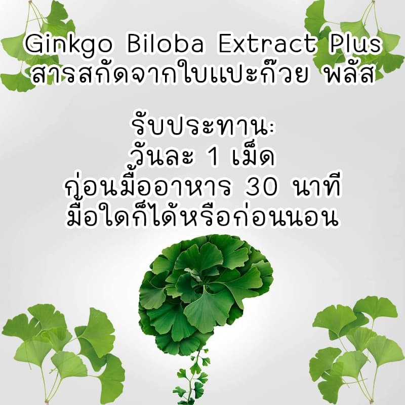 สารสกัดจากใบแปะก๊วย พลัส Ginkgo Biloba Extract Plus ตรา บลูเบิร์ด ขนาด 600 มก. 60 แคปซูล รูปที่ 2
