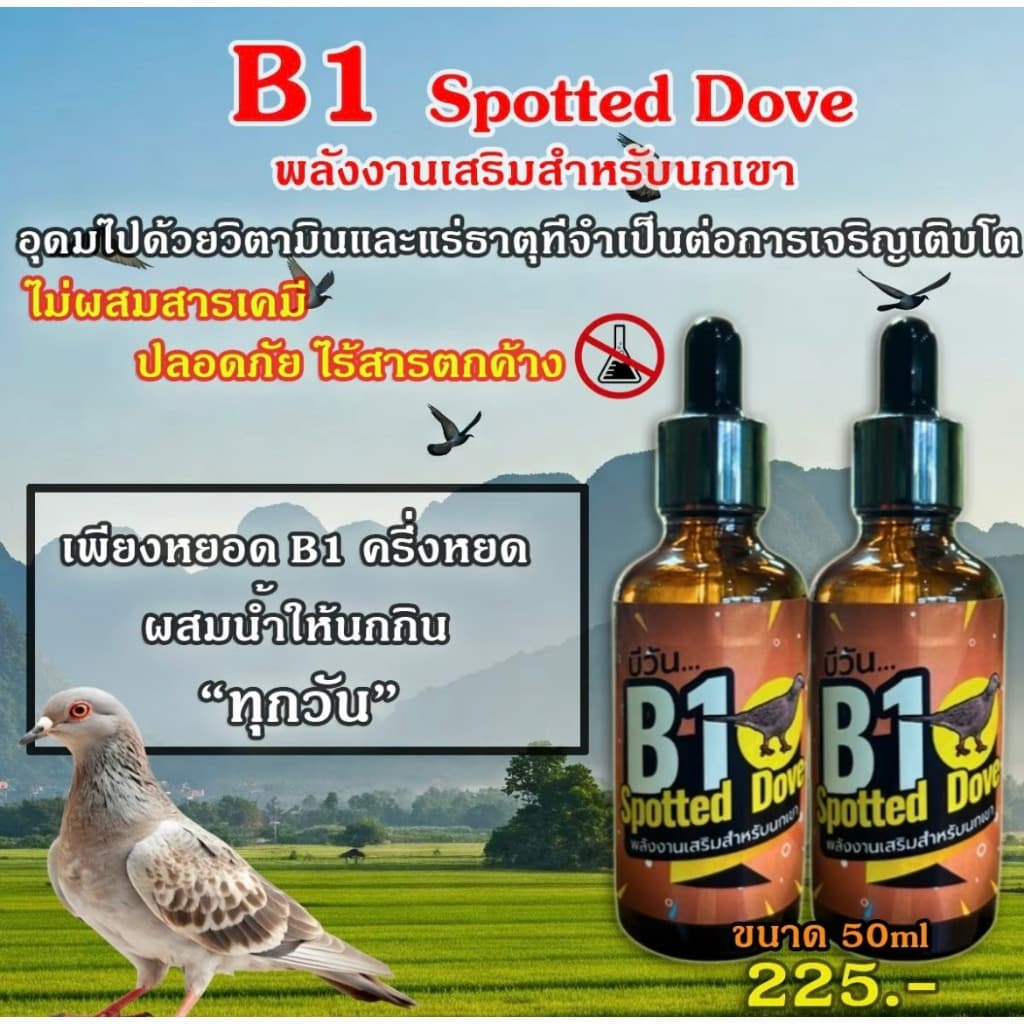 B1 Spotted Dove วิตามินนกเขา รูปที่ 2