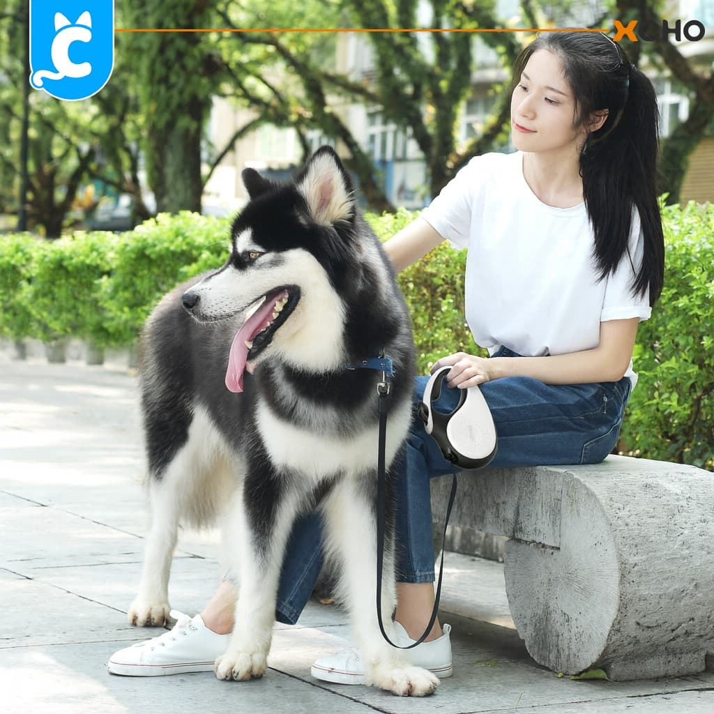XCHO สายจูงสปริงสุนัข สายจูง ยืดหด ทนต่อแรงดึง Retractable Dog Leash CleverPet รูปที่ 5