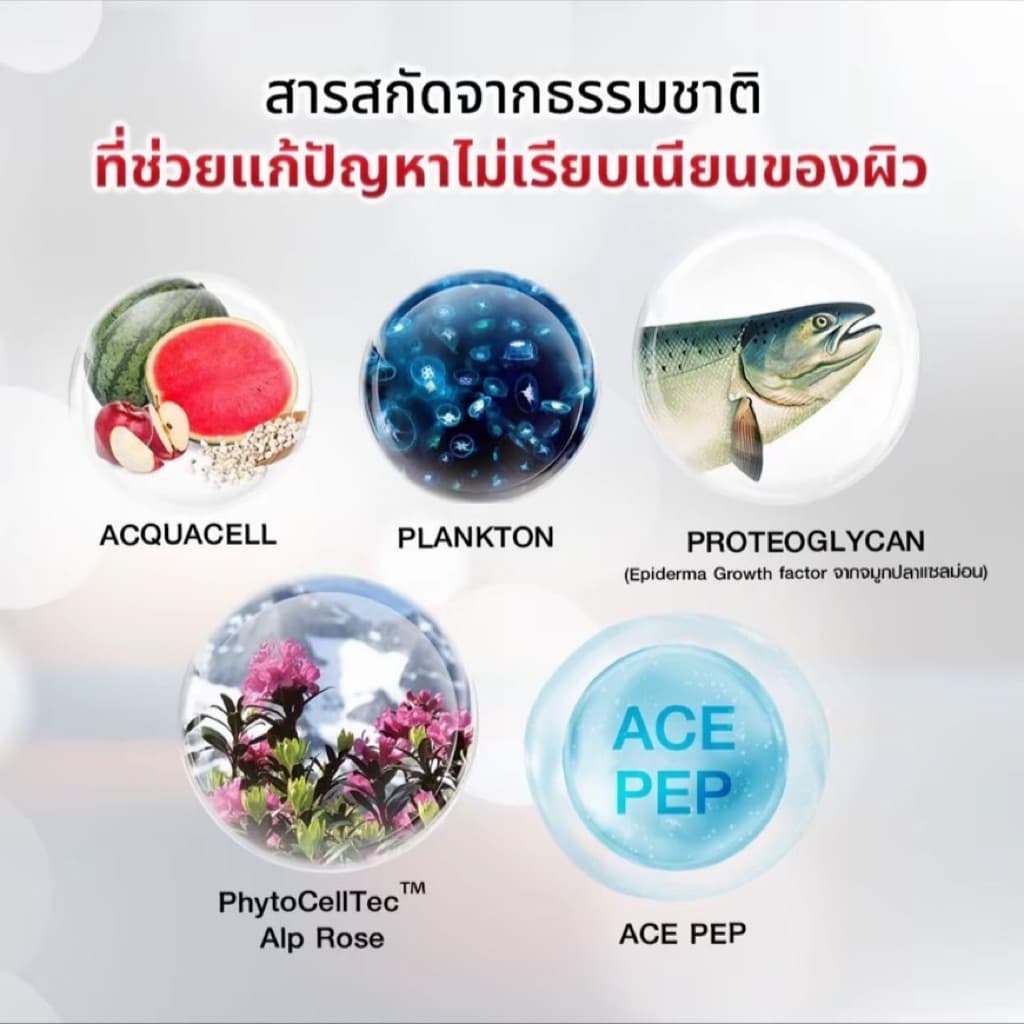 PP Nat Nad ชุดบำรุงผิวให้แลดูอ่อนกว่าวัยอย่างเป็นธรรมชาติ รูปที่ 7