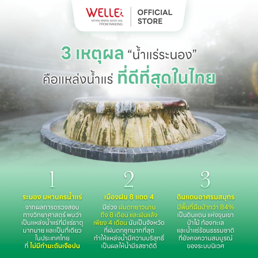 Welle Mineral Water น้ำแร่เวลล์เล่ 500 มิลลิลิตร 9 แพค จากแหล่งน้ำแร่ระนอง รูปที่ 9