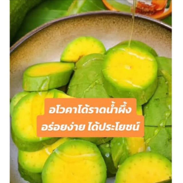 ต้นอะโวคาโด034 เสียบยอด ขนาด70-80ซม. ต้นสมบูรณ์แข็งแรง โตเร็ว ติดผลไวแน่นอน ปลูกง่าย ผลยาวใหญ่ เหมาะสำหรับมือใหม่ รูปที่ 7