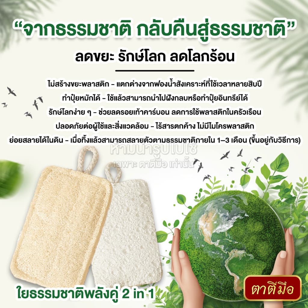 ตาตีมือ ใยบวบล้างจาน 2 หน้า ล้างกระทะ ใยบวบธรรมชาติไม่อัดแบน อ่อนโยนต่อภาชนะ รูปที่ 3