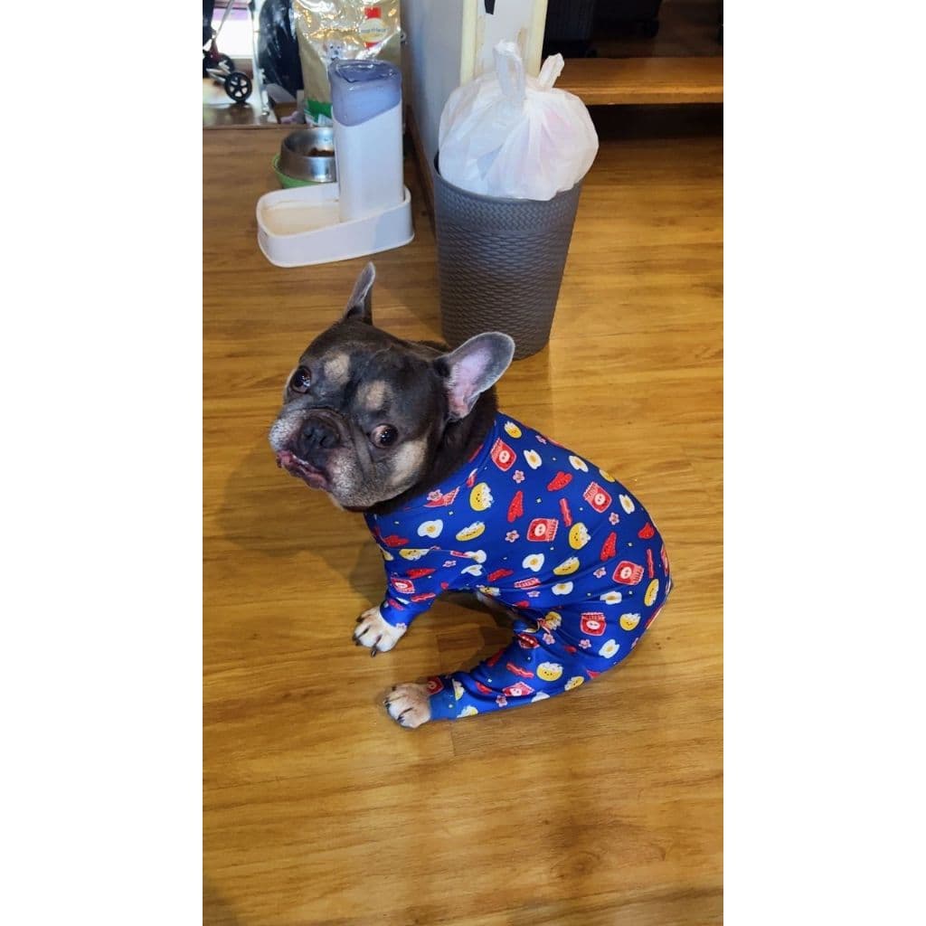 ชุดเก็บขน wonder dog เสื้อสุนัข เสื้อแมว ชุดกันขนร่วงสุนัข ชุดสัตว์เลี้ยง โทนน้ำเงิน รูปที่ 7