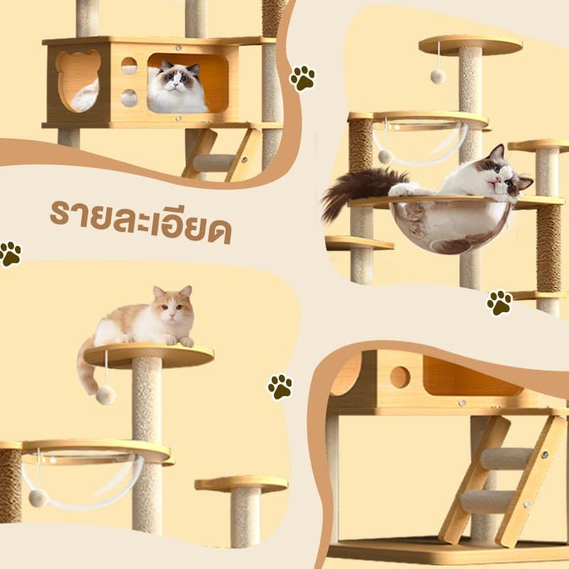 L&Q คอนโดแมว 3 in 1 คอนโดไม้แมว145cm บ้านแมวใหญ่ ของเล่นแมว เหมาะกับแมวหลายตัว ปีน-นอน-เล่น รูปที่ 5