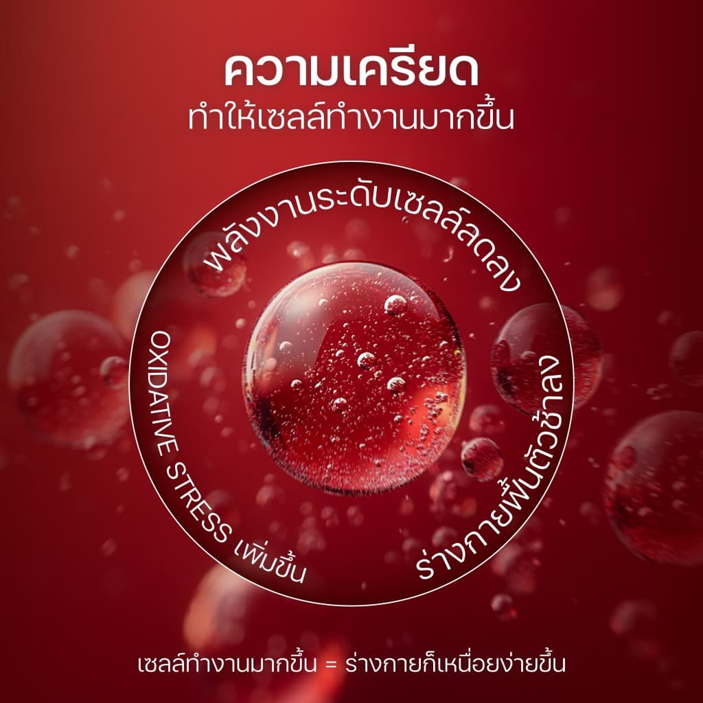 Vistra Sesamin Vital (Sesamin Extract from Natural Sesame Dietary Supplement Product)​ 30 Caps รูปที่ 6