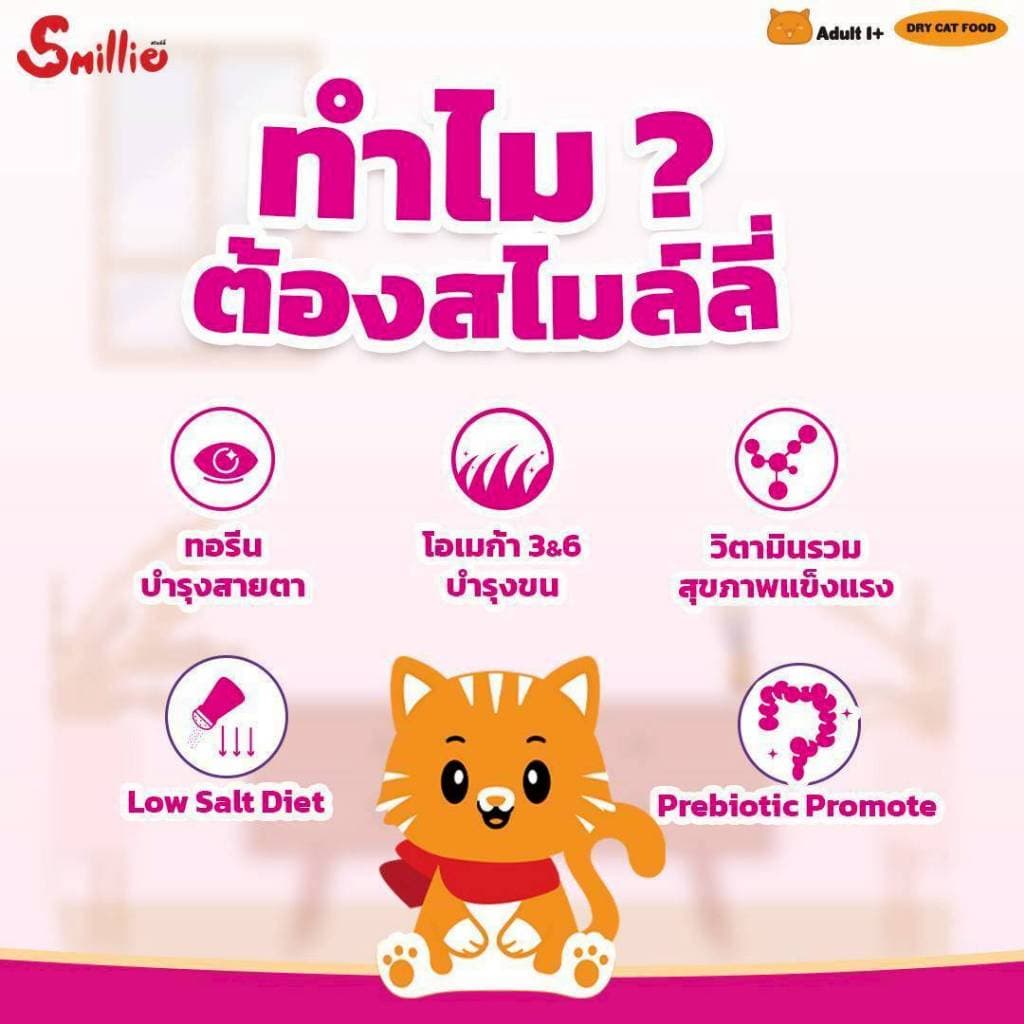 Smillie สไมล์ลี่ อาหารเม็ดแมว ถุง ไม่เค็ม 1 กิโลกรัม รูปที่ 5