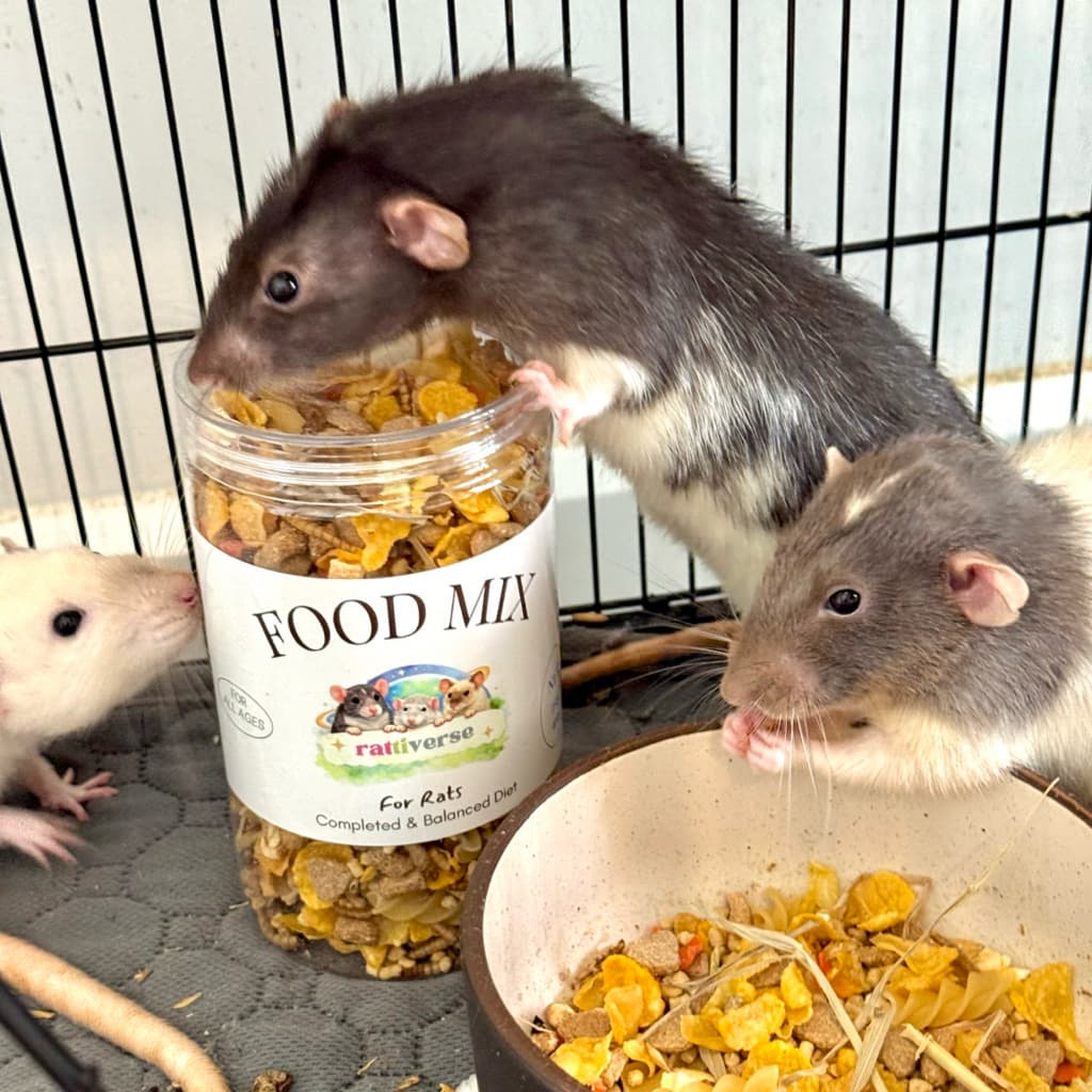 Rattiverse อาหารหนูแรท อาหารผสม สูตร Complete and Balance ไซส์ใหญ่ รูปที่ 4