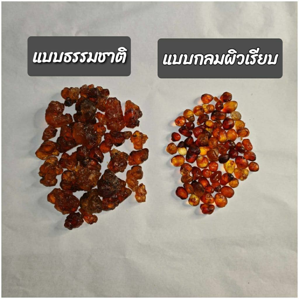 เถาเจียว อำพันดอกท้อ พีชกัม 100 กรัม แบบแห้ง รูปที่ 6