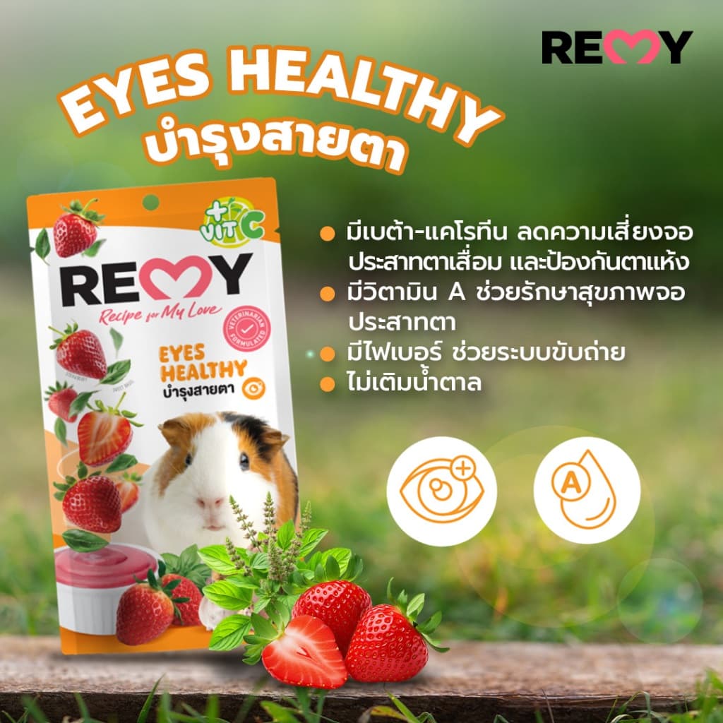 Remy เรมี่ ขนมเลียจากผักผลไม้ เสริมภูมิคุ้มกัน สำหรับกระต่ายและสัตว์ฟันแทะแฮมเตอร์ ชูก้าไกเดอร์แกสบี รูปที่ 5