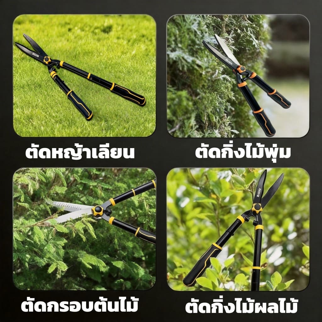 กรรไกรตัดกิ่งไม้ยืดหดได้ 55-75 ซม SK5 คมพิเศษ ตัดกิ่งหนา ประหยัดแรง ด้ามกันลื่น แข็งแรง ทนทาน รูปที่ 9