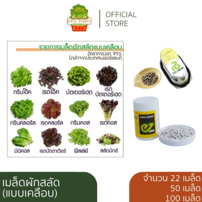 เมล็ดพันธุ์ผักสลัดเคลือบ ปลูกง่าย งอกเร็ว 99% ปลูกในบ้าน ไฮโดรโปนิกส์ ผักปลอดสาร กรีนโอ๊ค ผักคอส รูปที่ 1
