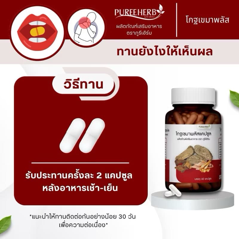 Puree Herb โกฐเขมา โกฐเขมาพลัสแคปซูล ภูรีเฮิร์บ ปวดข้อ ปวดเข่า ปวดหลัง ปวดเอว ปวดเมื่อย เส้นยึด เส้นตึง รูปที่ 3