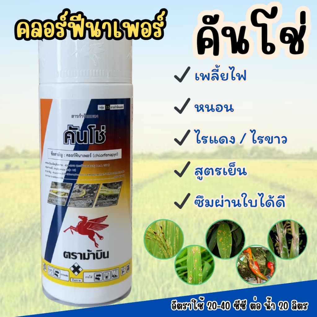 คลอร์ฟีนาเพอร์ 10% คันโช่ ตราม้าบิน ขนาด 1 ลิตร ป้องกันแมลง เพลี้ยไฟ หนอนกอหนอนม้วนใบ ไรขาว ไรแดง รูปที่ 1