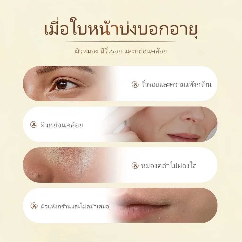BODANA วอเตอร์ ลิลลี่ เอสเซนส์ ออยล์ สกินแคร์ ผิว ใบหน้า ความชุ่มชื้น ออยล์บำรุงผิวหน้าจากดอกบัวขาว รูปที่ 5