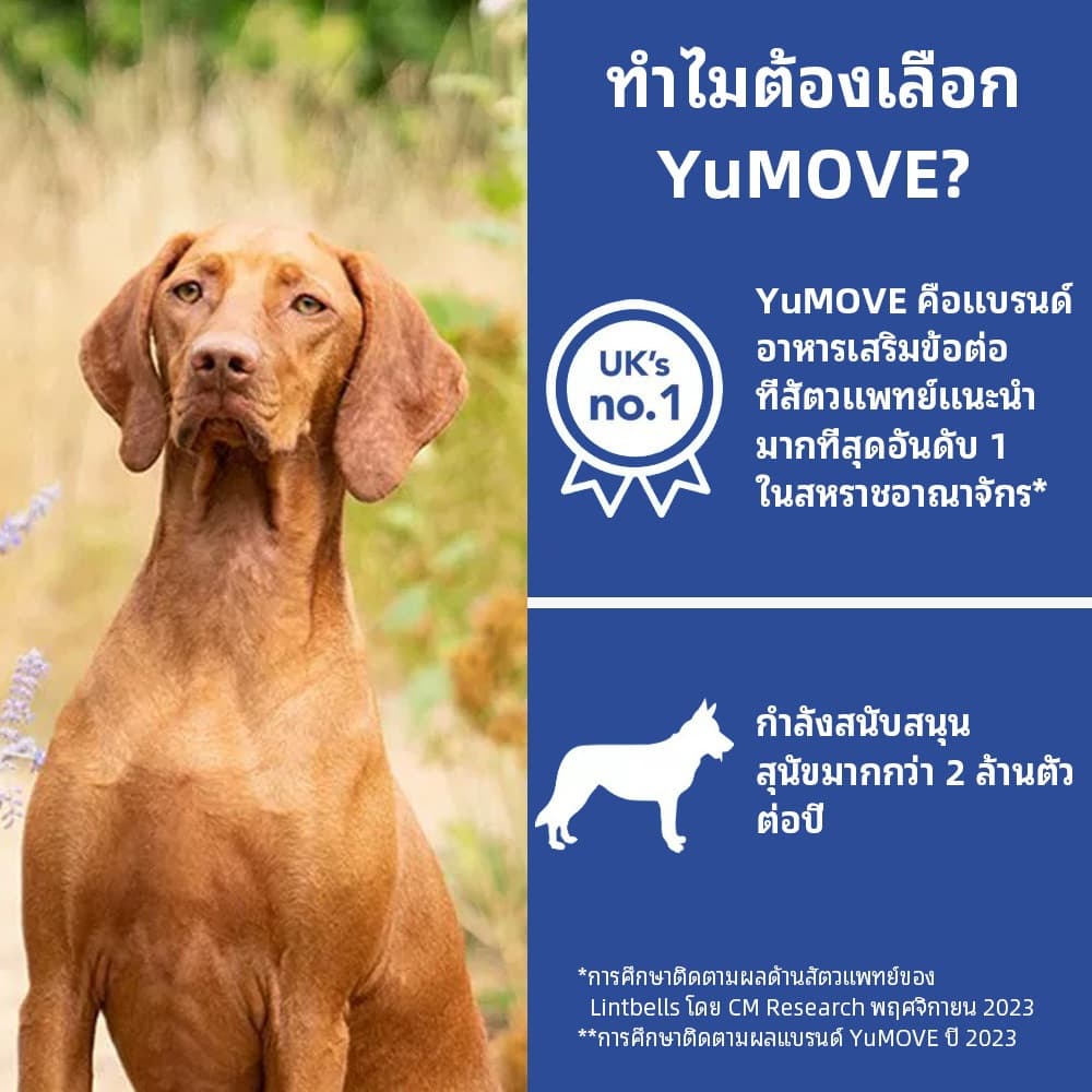 YuMOVE Senior Max Strength สูตรแรงที่สุดสำหรับสุนัขสูงวัย 120 เม็ด จุใจ ประหยัดค่ารักษาระยะยาว รูปที่ 9