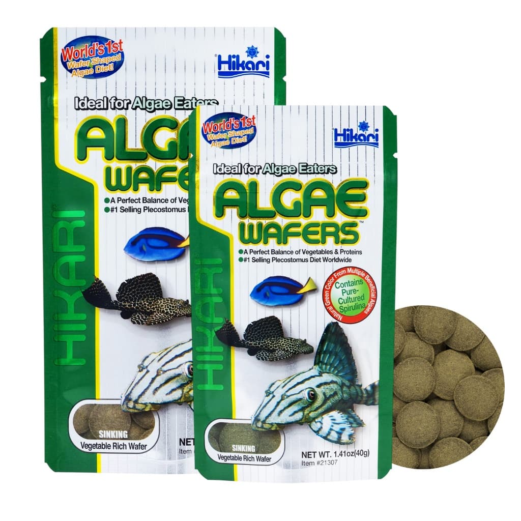 อาหารปลา Hikari Algae Wafer แผ่นจมน้ำ สำหรับปลากินพืช รูปที่ 1