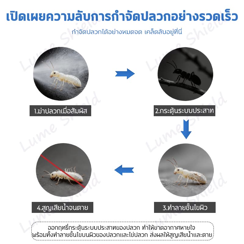 สเปรย์กำจัดปลวก 580ML ฆ่าปลวก ป้องกันปลวก ป้องกันยาวนาน ปกป้องบ้านให้ปลอดภัย LumeShield รูปที่ 3