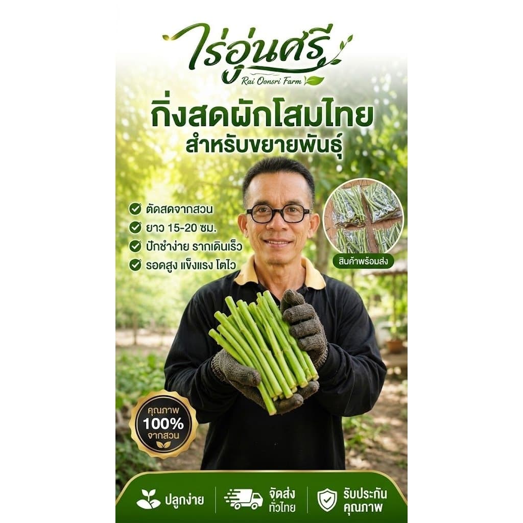 กิ่งละ 3 บาท! โสมไทยกิ่งสด พร้อมปักชำ ชุด 20 กิ่ง 50 บาท จากไร่อุ่นศรี รูปที่ 7