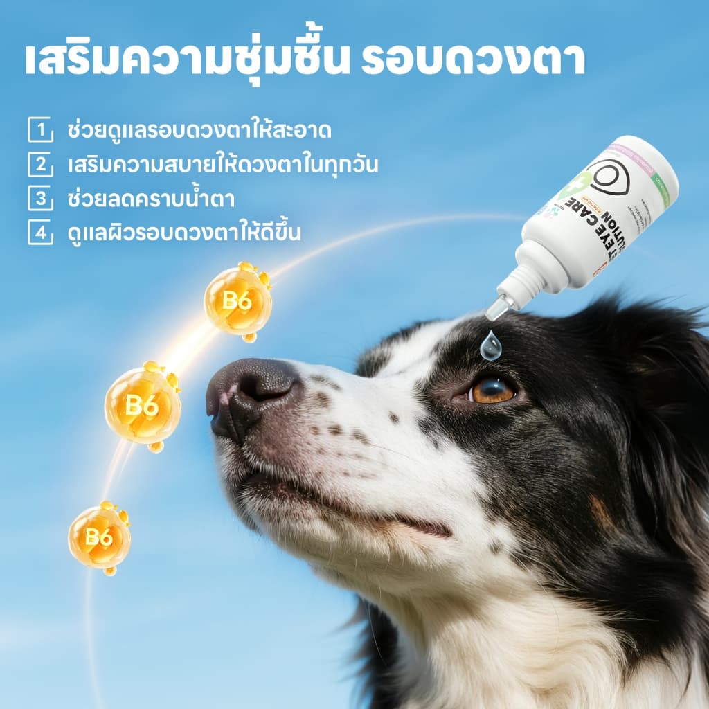 yoyopet : Pet Eye Care Solution น้ำยาทำความสะอาดตา สุนัขและแมว เติมความชุ่มชื้น อ่อนโยน 30ml รูปที่ 4