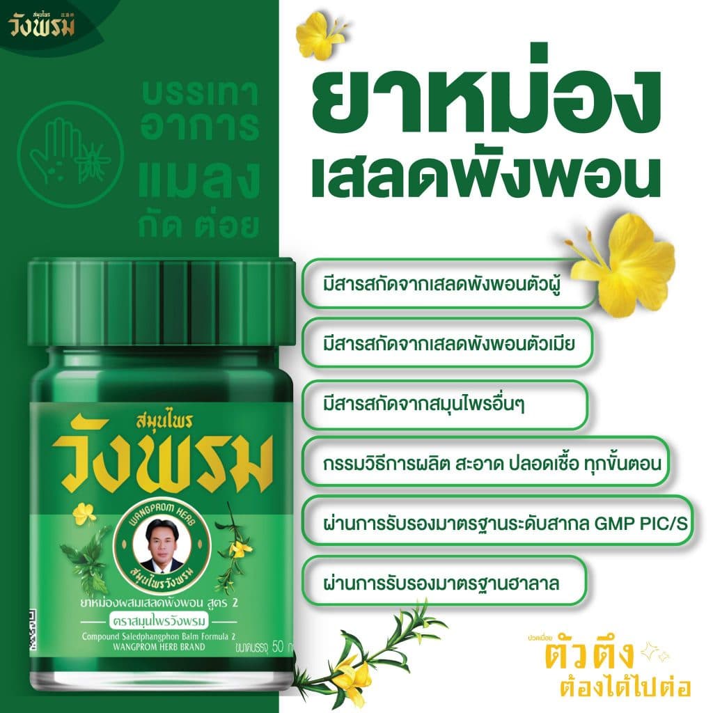 Wangpromherb สมุนไพรวังพรม ยาหม่องผสมเสลดพังพอน สูตร2 ขนาด 20 กรัม รูปที่ 5