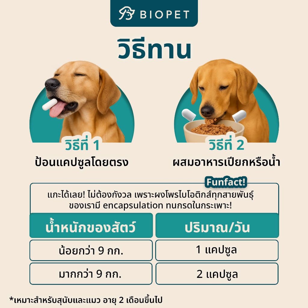 PetFlow โพรไบโอติกของสัตว์เลี้ยง สูตรดูแลระบบขับถ่าย Medical Grade Probiotic รูปที่ 7
