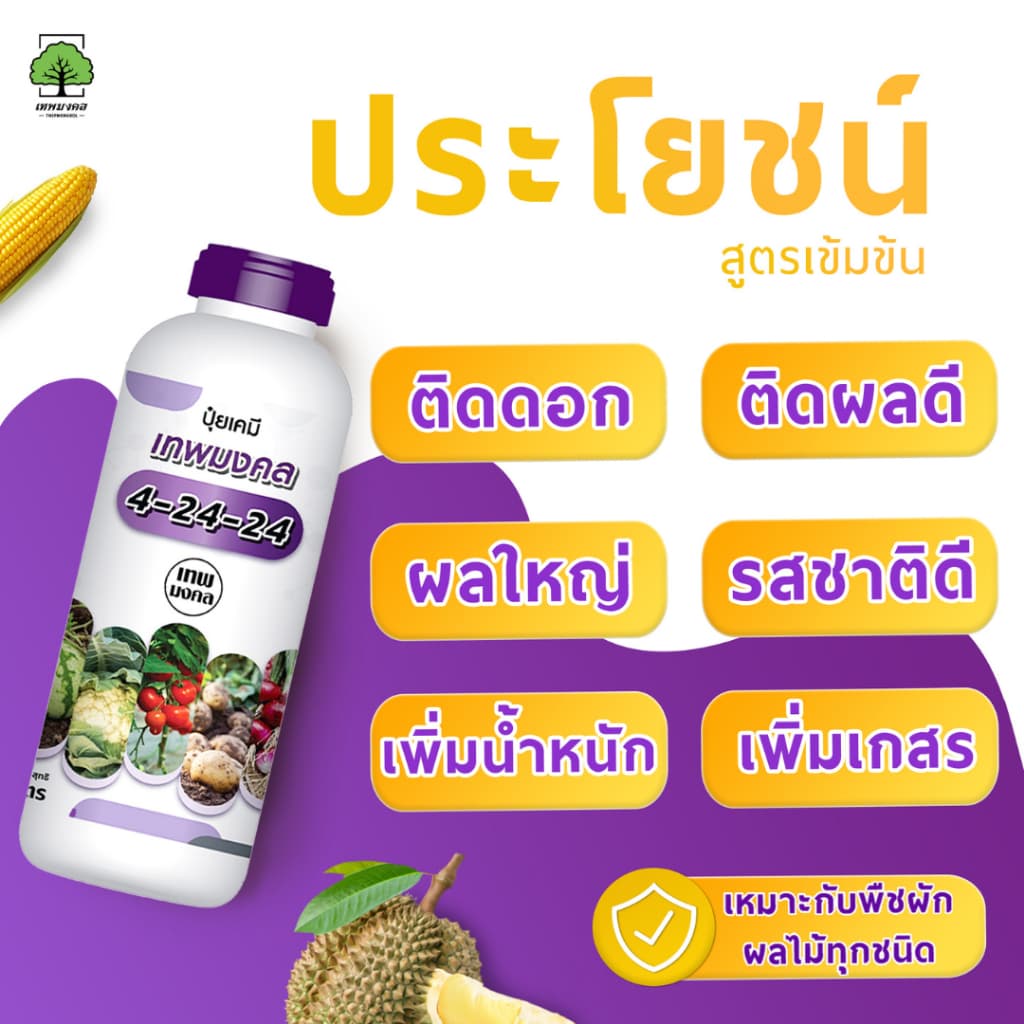 ปุ๋ยน้ำตราเทพมงคล สูตร 4-24-24 แพ็ค 2 ขวด เปิดตาดอกขยายผล เพิ่มผลผลิต เพิ่มเนื้อ เพิ่มน้ำหนัก 1 ลิตร รูปที่ 6