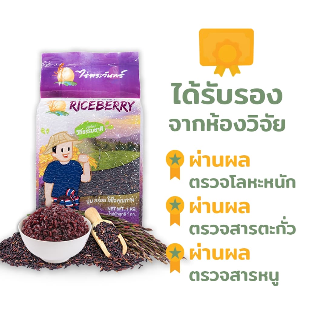 *ค่าส่งถูกที่สุด* ข้าวไรซ์เบอร์รี่ คัดพิเศษ ปลอดสาร ไม่ใช้สารกันมอด ไร่พระจันทร์ Riceberry ข้าว ไรซ์เบอรี่ ไรซ์เบอร์รี่ รูปที่ 4
