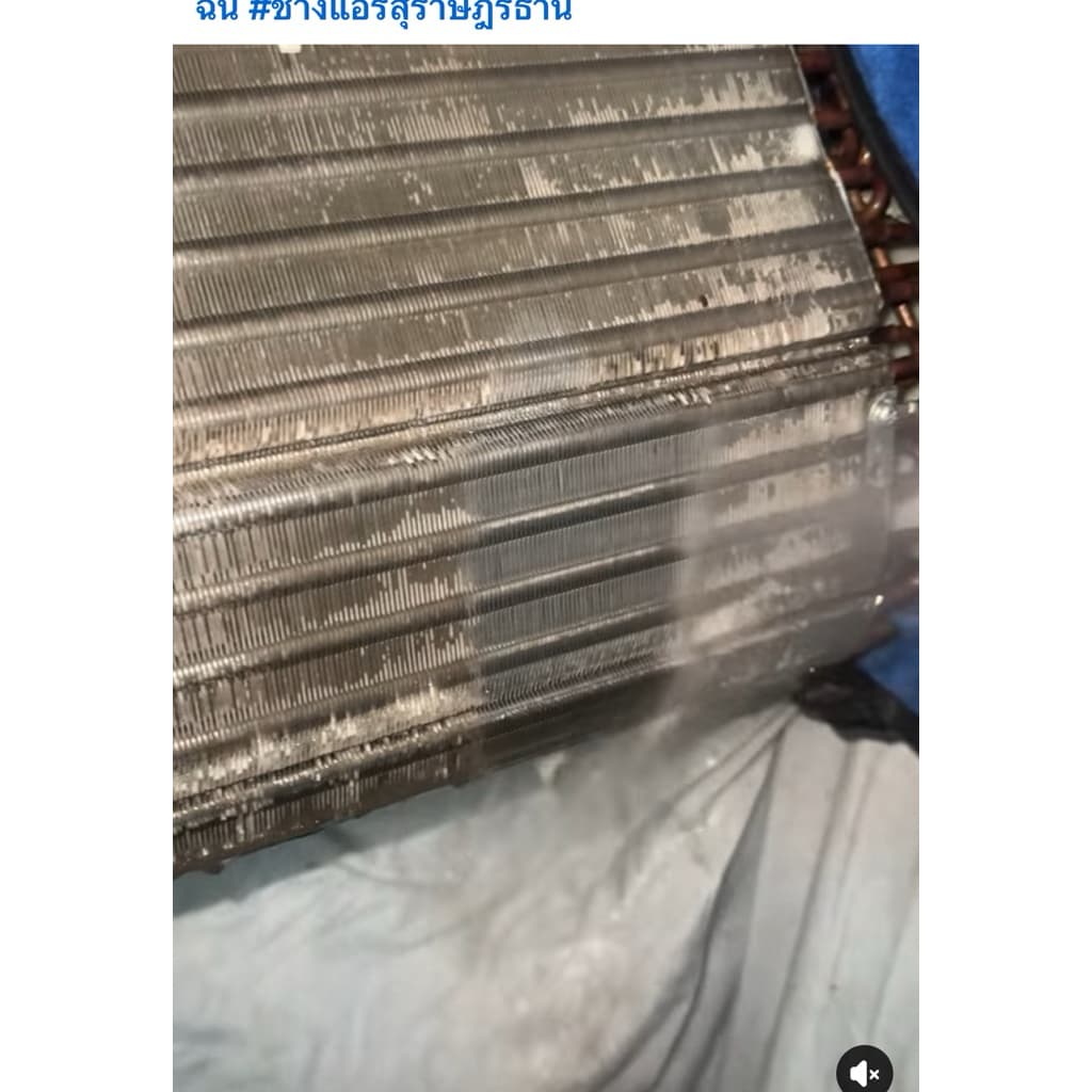 หัวเชื้อ SK Remove ล้างขจัดคราบฝังลึก รูปที่ 3