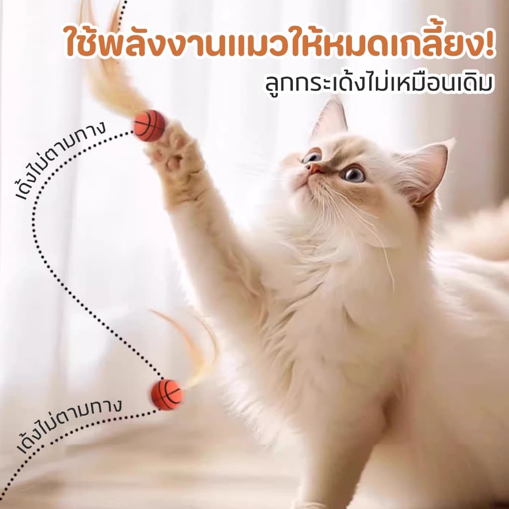 TUBI "เบื่อของเล่นธรรมดาๆ ไหม?"เปิดประสบการณ์ใหม่กับของเล่นแมวขนนก ที่มาพร้อมกับการกระตุ้นสัญชาตญาณแมวแบบสุด ๆ รูปที่ 5