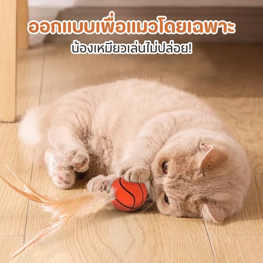 TUBI "เบื่อของเล่นธรรมดาๆ ไหม?"เปิดประสบการณ์ใหม่กับของเล่นแมวขนนก ที่มาพร้อมกับการกระตุ้นสัญชาตญาณแมวแบบสุด ๆ รูปที่ 2