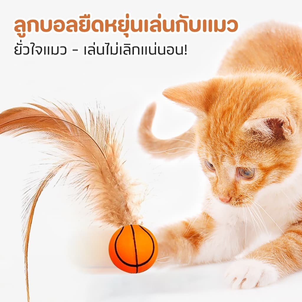 TUBI "เบื่อของเล่นธรรมดาๆ ไหม?"เปิดประสบการณ์ใหม่กับของเล่นแมวขนนก ที่มาพร้อมกับการกระตุ้นสัญชาตญาณแมวแบบสุด ๆ รูปที่ 4