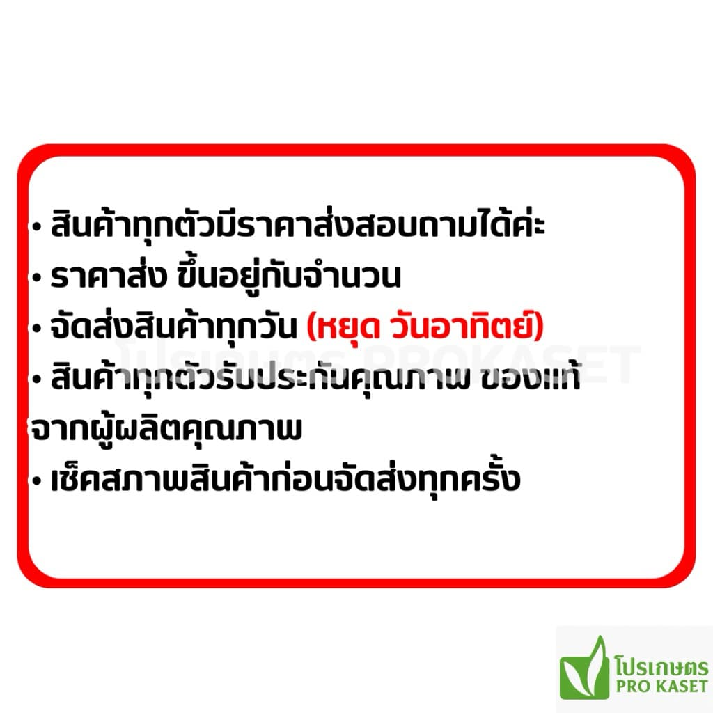 **ยกลัง 48 ขวด**เคนลอน ไตรโคลเพอร์ 250 มล. ยาฆ่าตอ กำจัดหญ้าใบกว้าง เครือเถา ไมยราบ ตายเรียบ ใช้ได้ในอ้อย ข้าว สวน รูปที่ 5