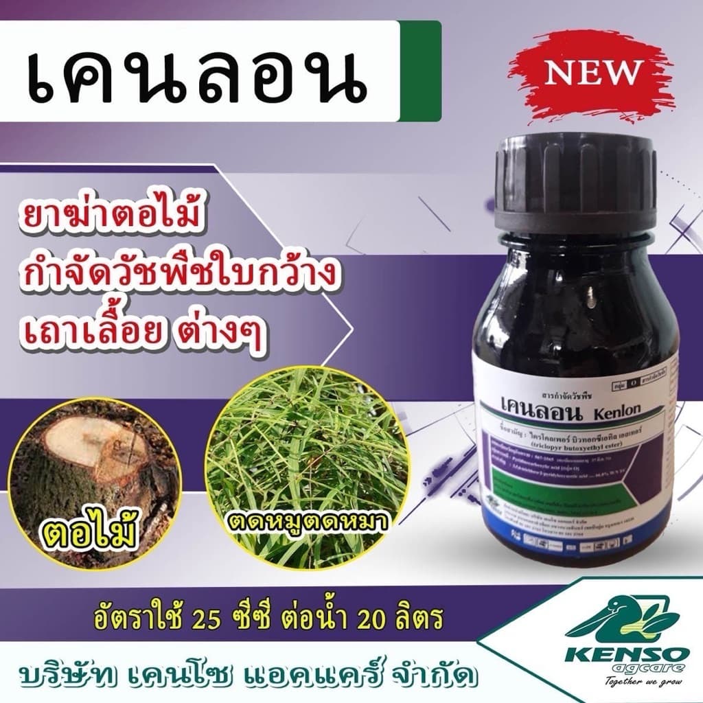 **ยกลัง 48 ขวด**เคนลอน ไตรโคลเพอร์ 250 มล. ยาฆ่าตอ กำจัดหญ้าใบกว้าง เครือเถา ไมยราบ ตายเรียบ ใช้ได้ในอ้อย ข้าว สวน รูปที่ 3