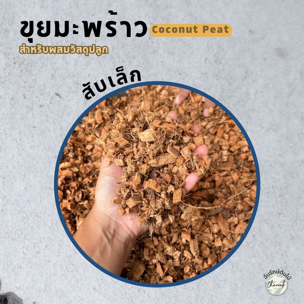 วัสดุปลูก รวมหลายรายการ พร้อมใช้ ขนาด 1 ลิตร เปลือกสน เม็ดดินเผา หินภูเขาไฟ ใบก้ามปู เพอร์ไลท์ ดินญี่ปุ่น รูปที่ 8