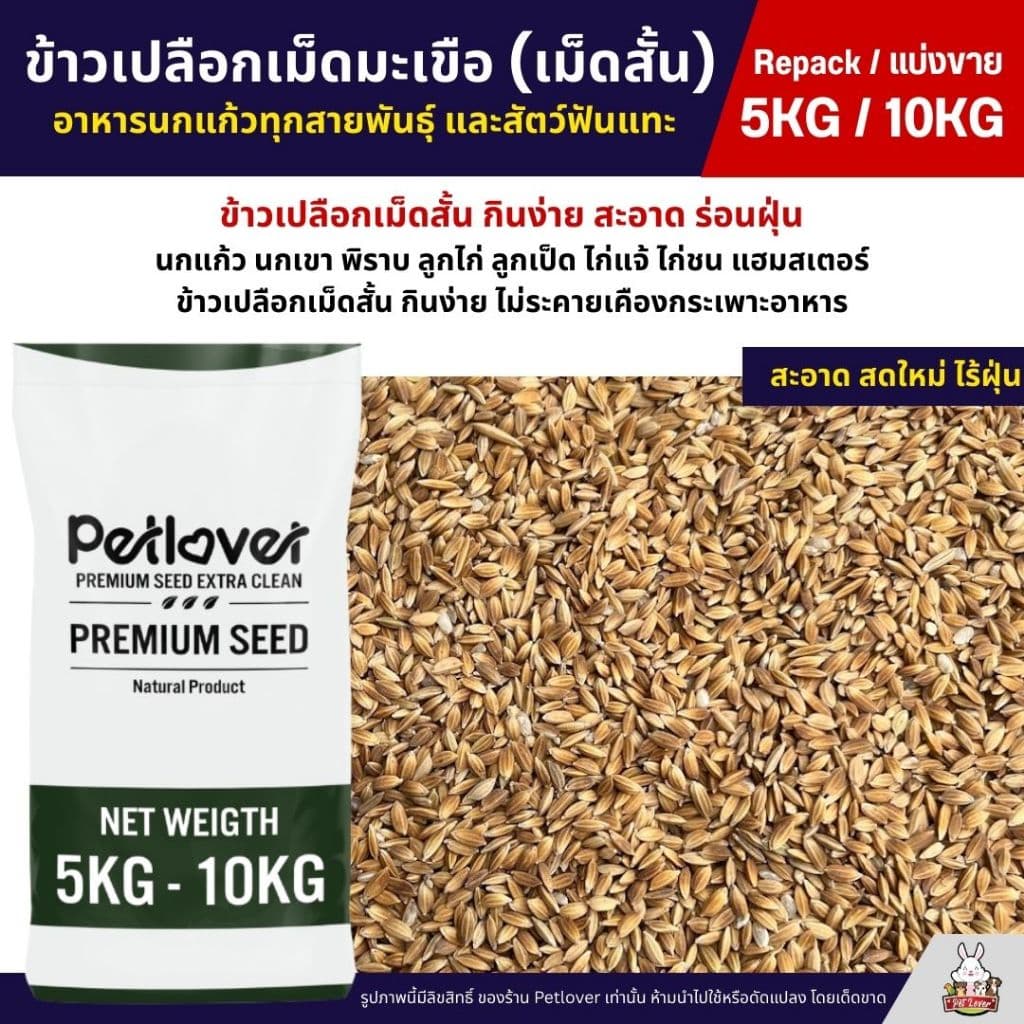 ข้าวเปลือกเม็ดมะเขือ เม็ดสั้น อาหารนกแก้วทุกสายพันธุ์ หนูแฮมสเตอร์ ไก่ชน ไก่แจ้ รูปที่ 1