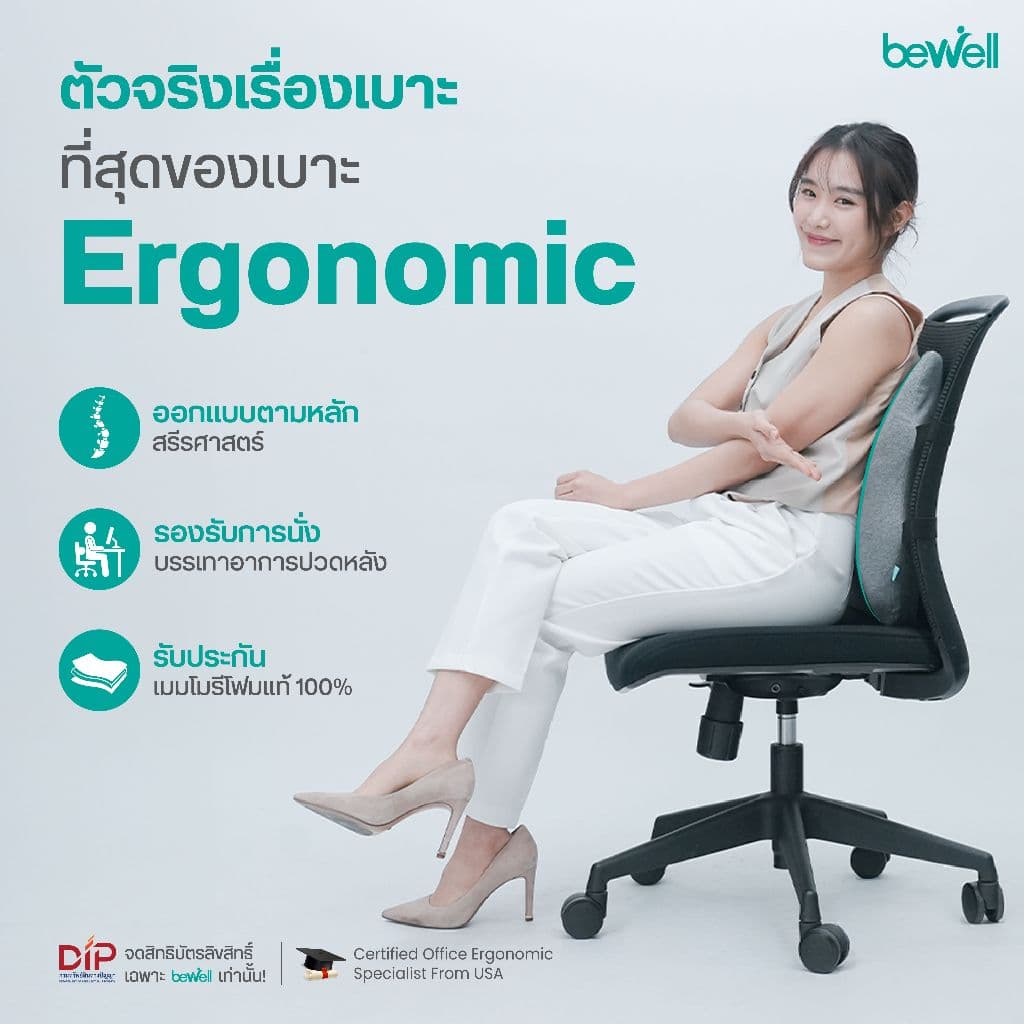 Bewell Ergocushion Series เบาะรองหลัง รองรับหลังได้ดีกว่าเดิม พัฒนาร่วมกับนักกายภาพ รูปที่ 3